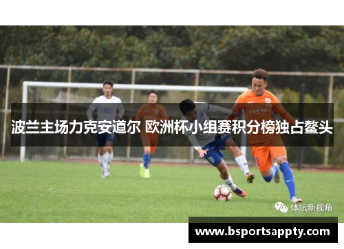 波兰主场力克安道尔 欧洲杯小组赛积分榜独占鳌头