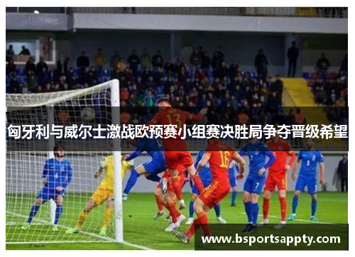 匈牙利与威尔士激战欧预赛小组赛决胜局争夺晋级希望