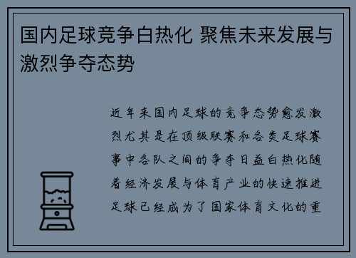 国内足球竞争白热化 聚焦未来发展与激烈争夺态势
