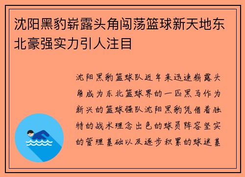 沈阳黑豹崭露头角闯荡篮球新天地东北豪强实力引人注目