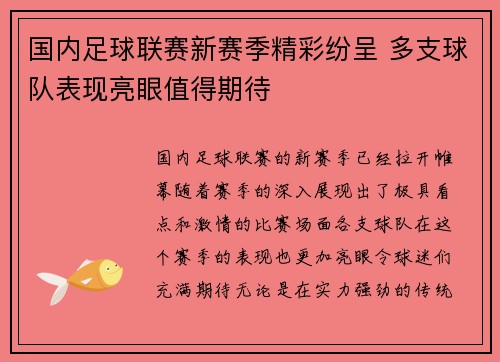 国内足球联赛新赛季精彩纷呈 多支球队表现亮眼值得期待